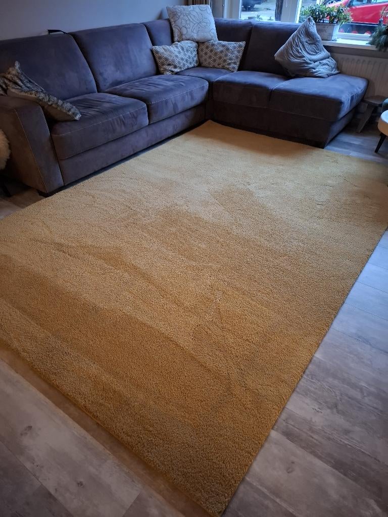 Vloerkleed licht geel 2 x 3 meter, Ophalen, Overige kleuren, Soft, 200 cm of meer