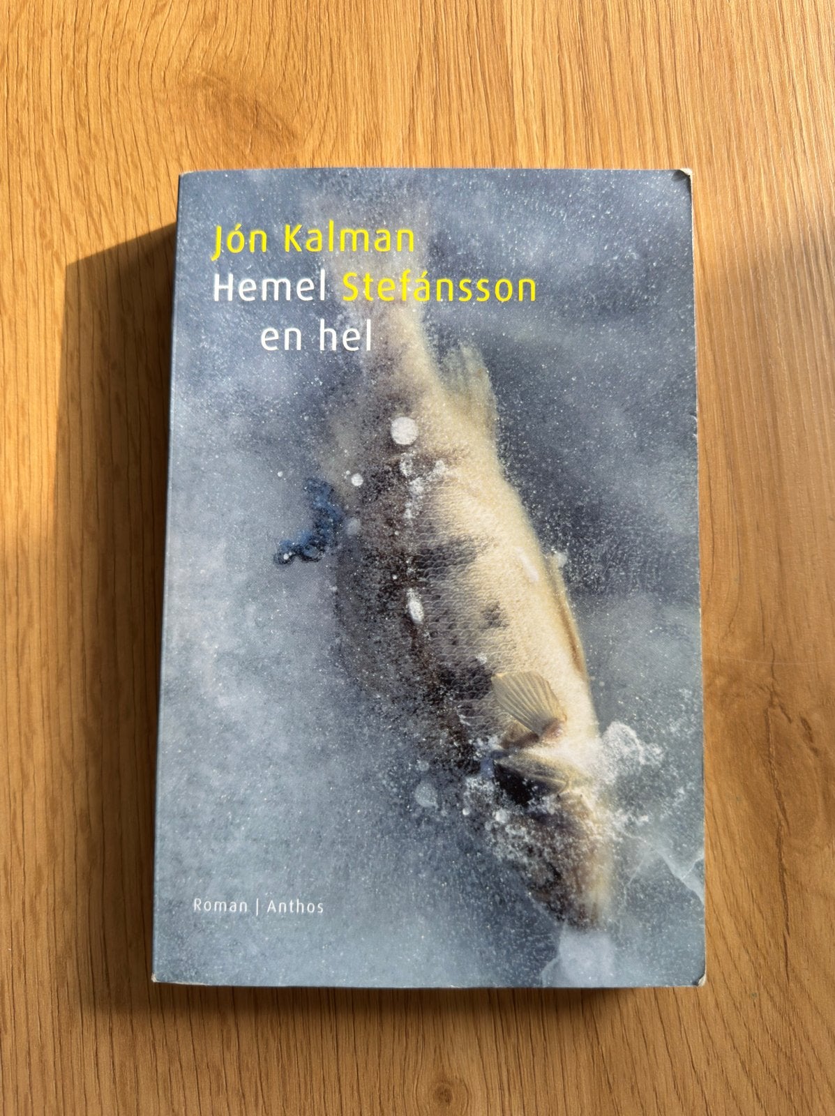 Hemel en hel - Jón Kalman Stefánsson, Boeken, Ophalen of Verzenden, Gelezen