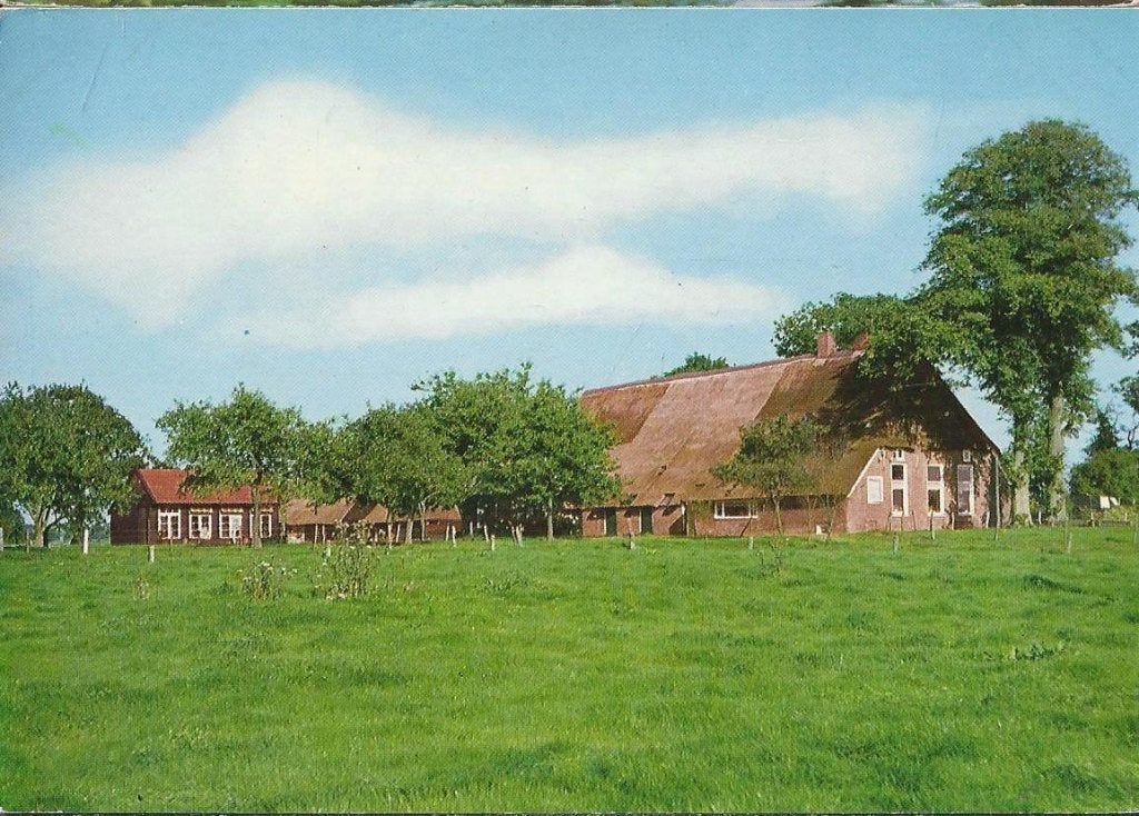 Kr184 ansichtkaart zuidwolde oude boerderij ten arlo, Ophalen of Verzenden, 1980 tot heden, Ongelopen, Groningen