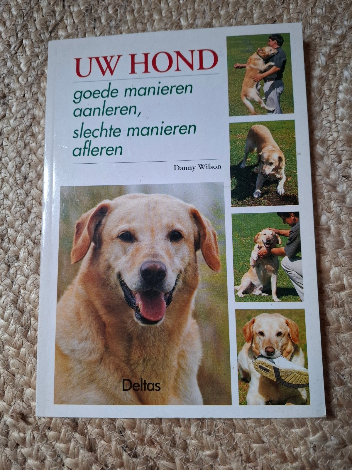Uw Hond: Goede manieren aanleren, slechte manieren afleren, Ophalen of Verzenden, Gelezen, Honden, Danny Wilson