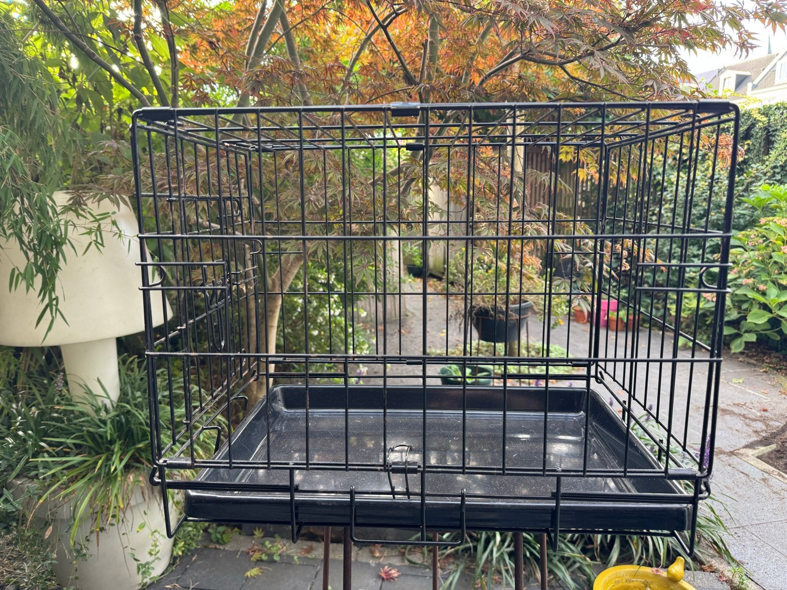 Bench ideaal voor puppy’s eerste maanden., Ophalen, Gebruikt