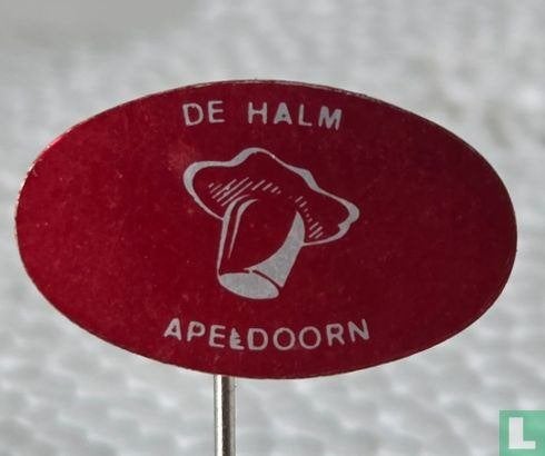 Speldje - De Halm Apeldoorn, Ophalen of Verzenden, Zo goed als nieuw, Merk, Speldje of Pin
