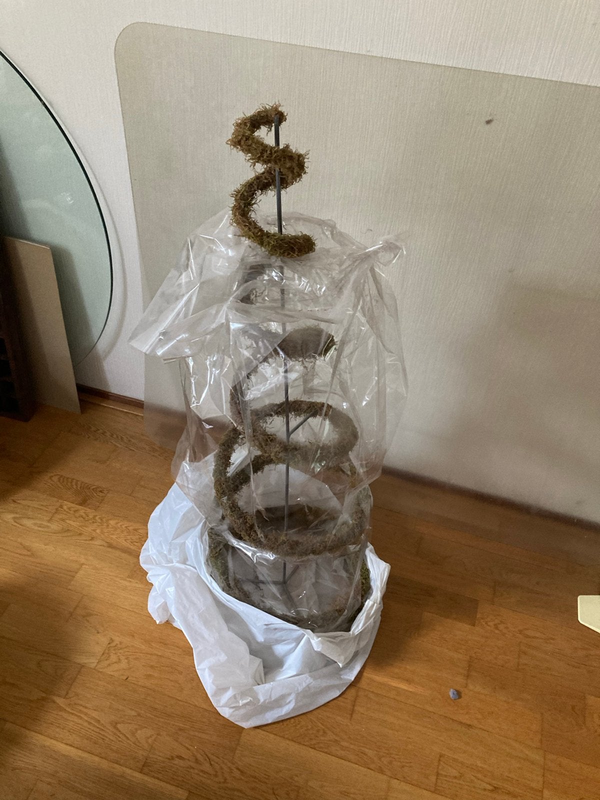 Klimplantenrek spiraalvormig, Ophalen, Klimplanten