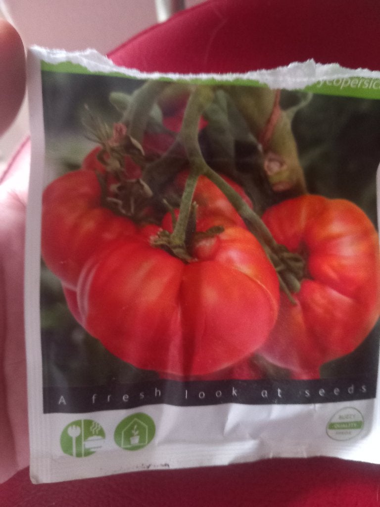 Tomaten Planten, Ophalen, Nieuw