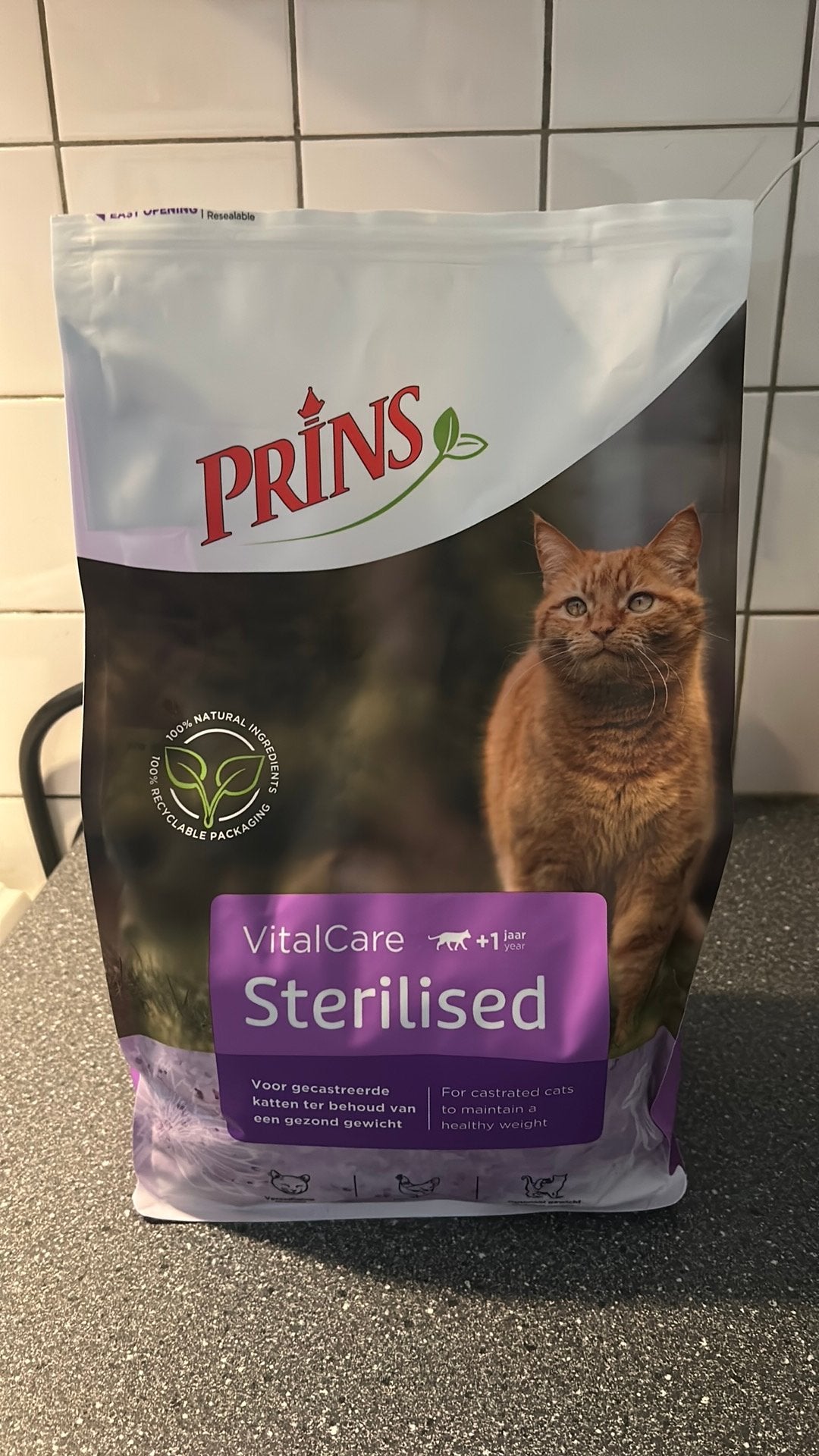 Prins sterilised brokken kat, Dieren en Toebehoren, Ophalen, Kat