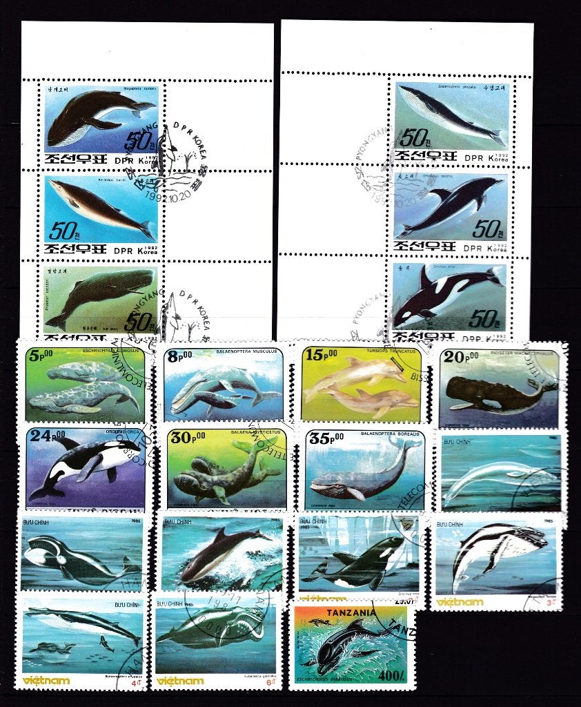 9081) walvis, dolfijn, vis ca 21x, Ophalen of Verzenden, Dier of Natuur
