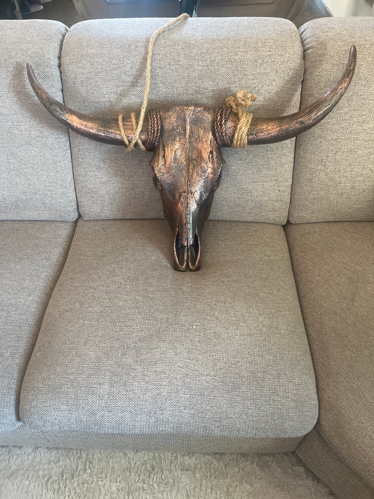 Decoratieve schedel met hoorns - Brons, Overige materialen, Ophalen of Verzenden, Zo goed als nieuw, Bruin
