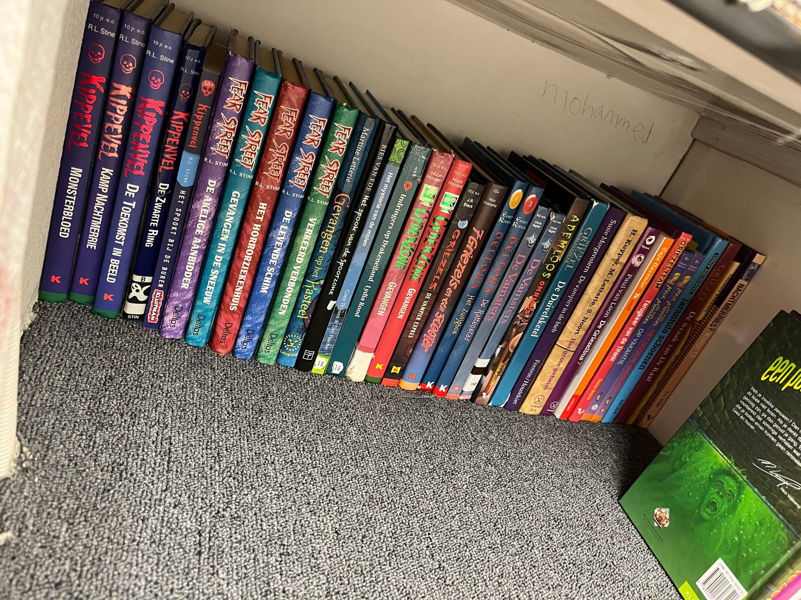 Grote collectie jeugdboeken: Kippenvel, Fear Street, Griezel, Boeken, Ophalen of Verzenden, Gelezen, Fictie