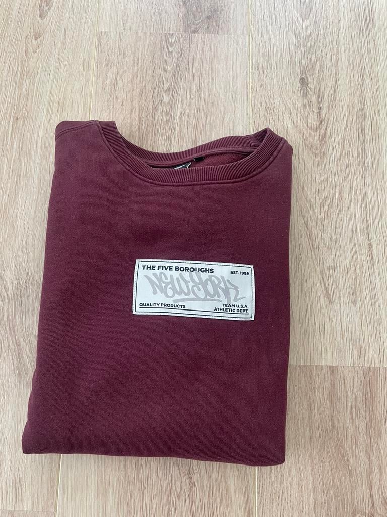 Amerika today trui, Kleding | Heren, Ophalen of Verzenden, Zo goed als nieuw, Maat 46 (S) of kleiner