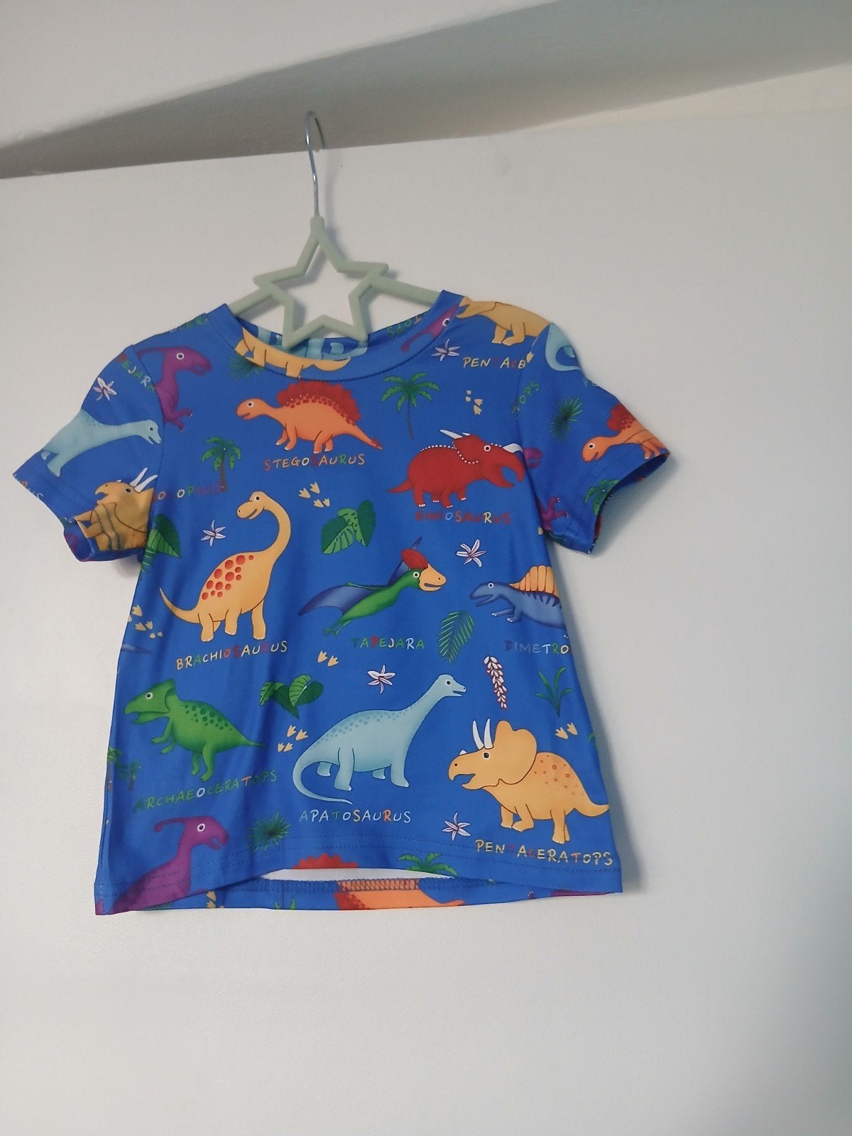 nieuw blauwe jongens shirt met dinosauresen maat 86/92, Kinderen en Baby's, Babykleding | Maat 86, Ophalen of Verzenden, Nieuw