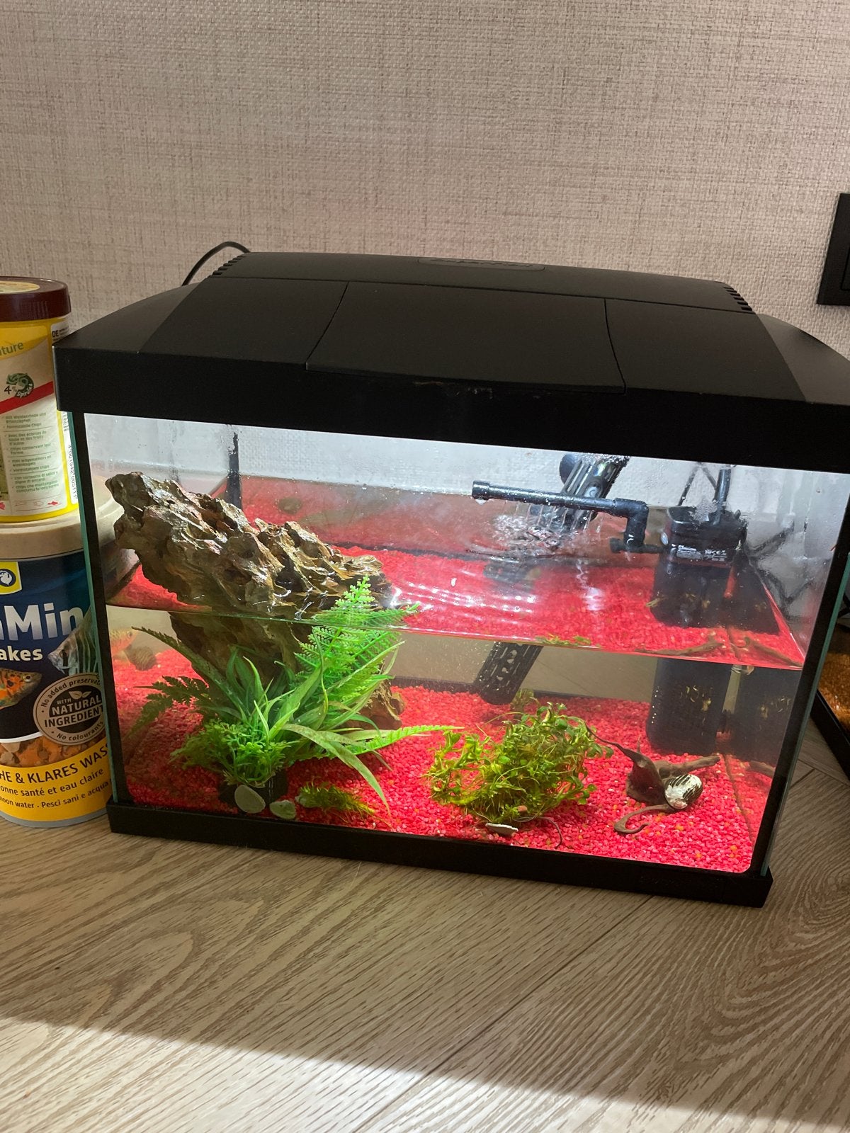 2 x aquaria invl vissen en garnalen, Ophalen
