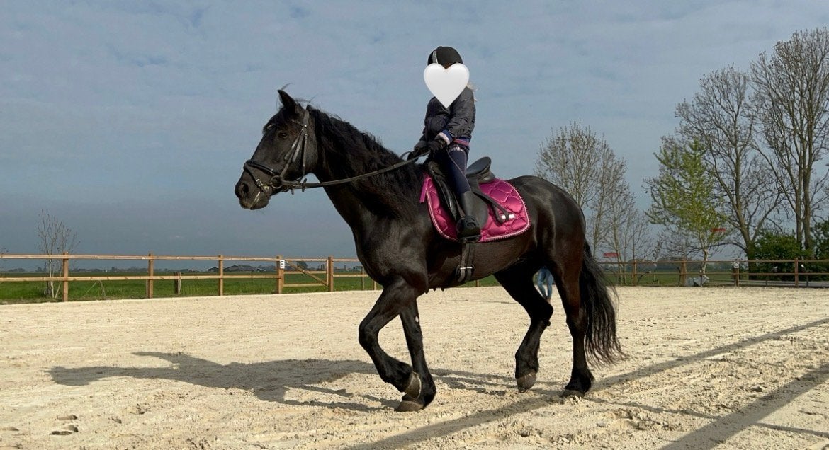 Lieve en stoere E-pony zoekt haar gouden plekje, Dieren en Toebehoren, Paarden, Merrie, Minder dan 160 cm, Zadelmak, 11 jaar of ouder