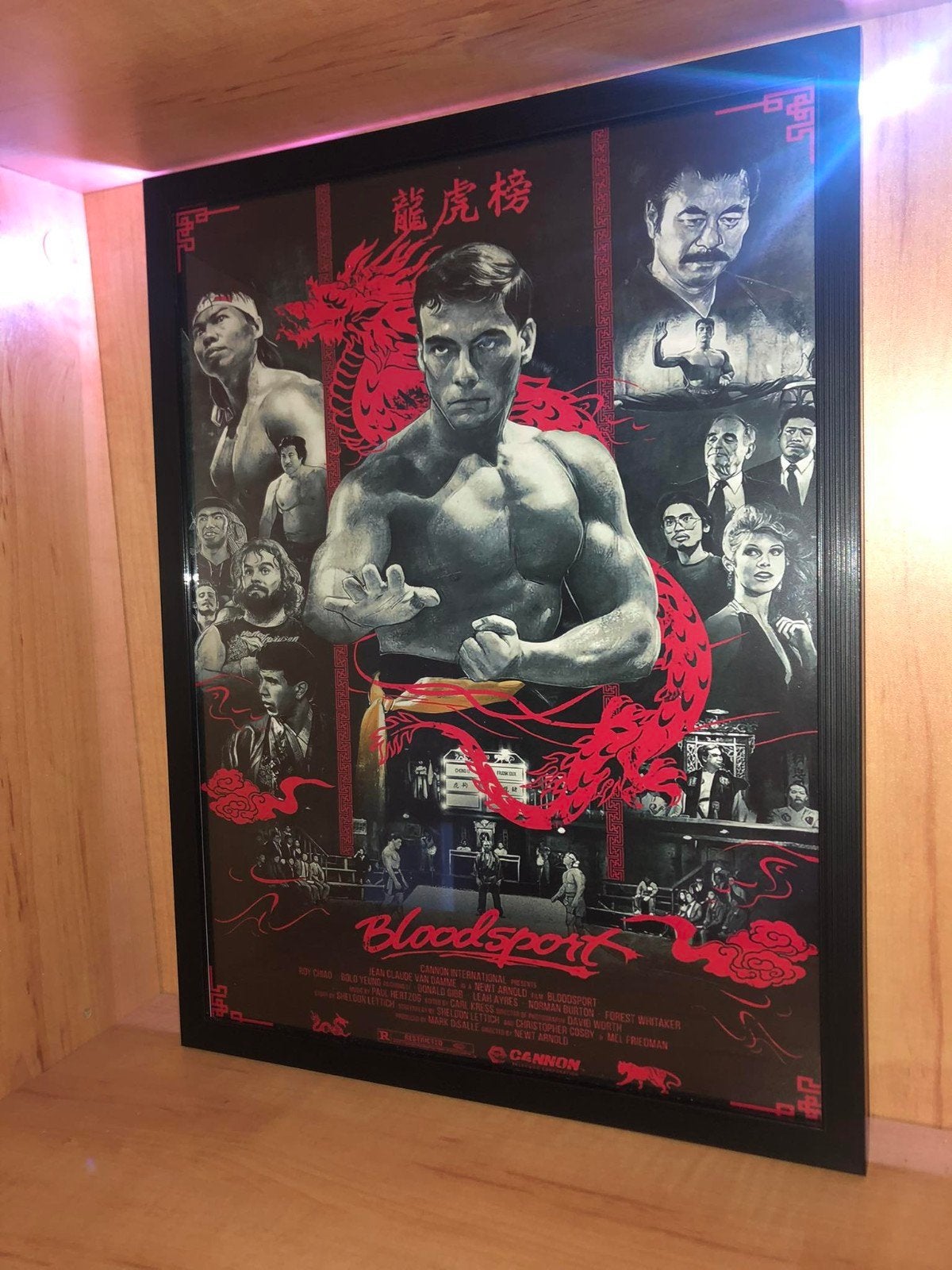 bloodsport, Ophalen of Verzenden, Zo goed als nieuw, A1 t/m A3, Film en Tv
