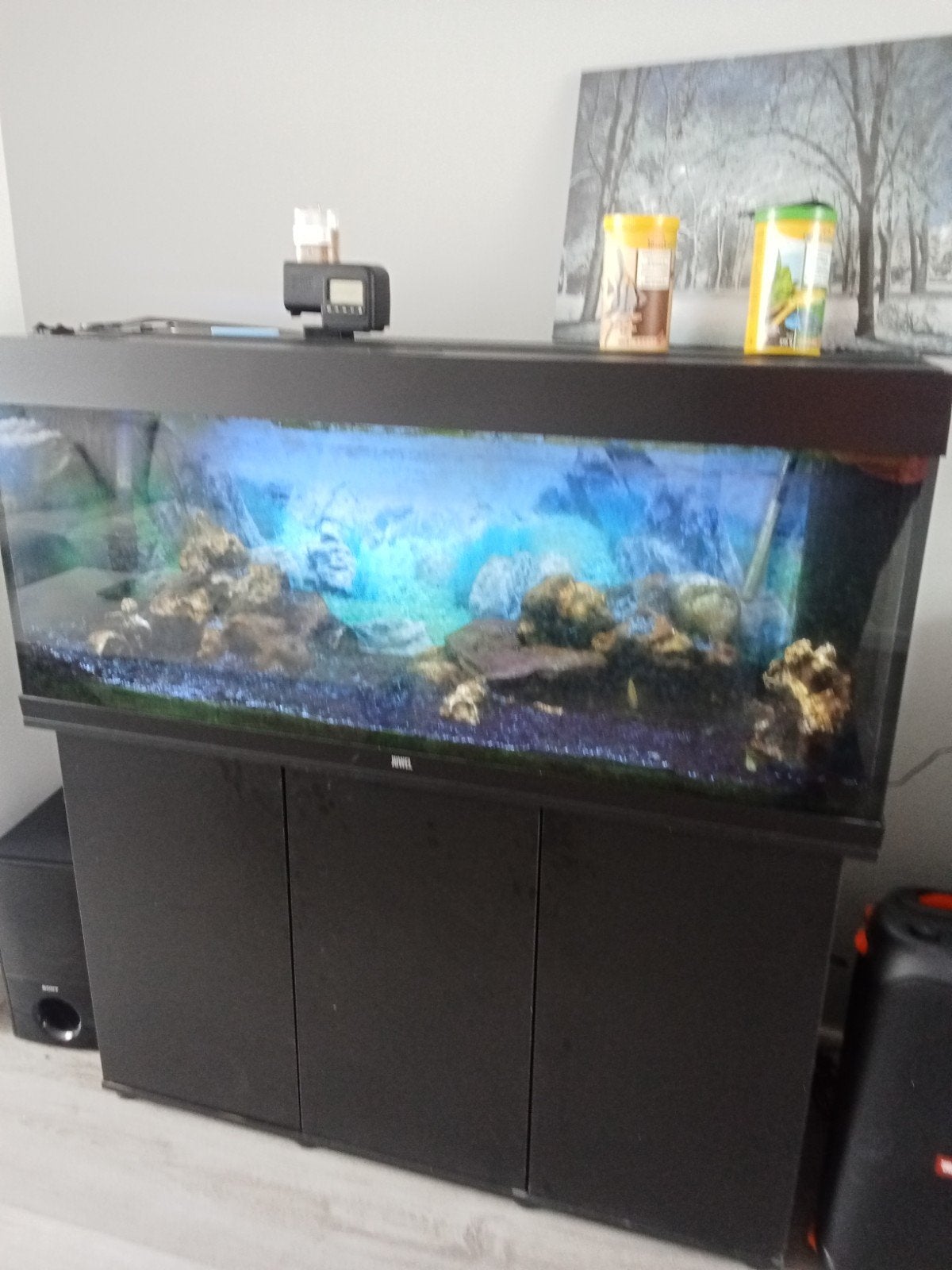 Juwel 240, Ophalen of Verzenden, Leeg aquarium
