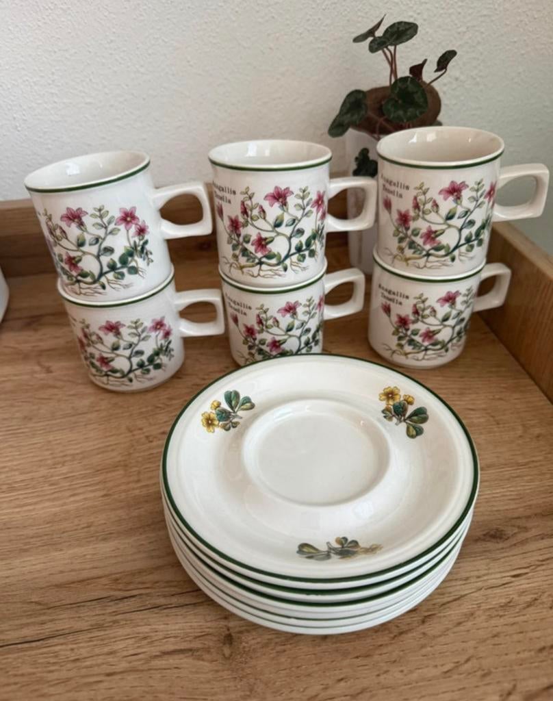 Vintage 6 Wedgwood Florabunda kop en schotels, Ophalen of Verzenden