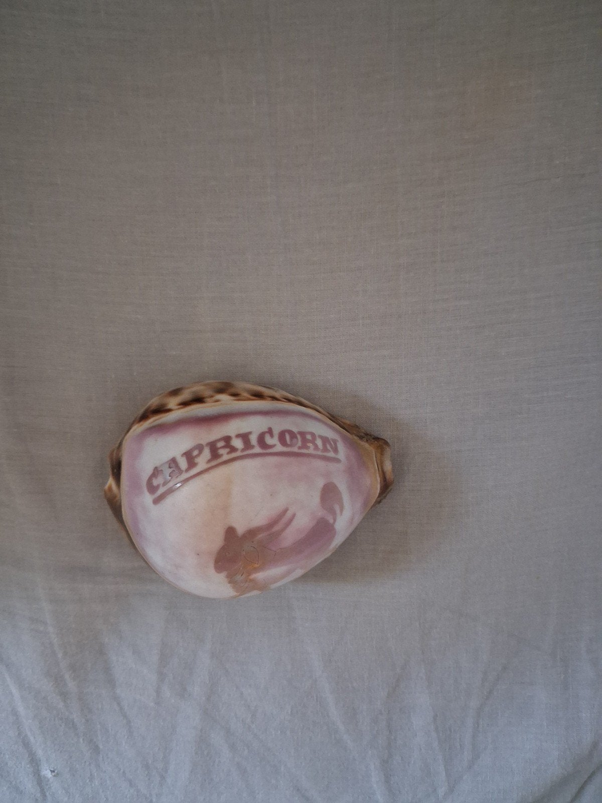 schelp decoratie  met horoscoop,capricorn, Ophalen of Verzenden, Zo goed als nieuw, Beeldje of Figuurtje