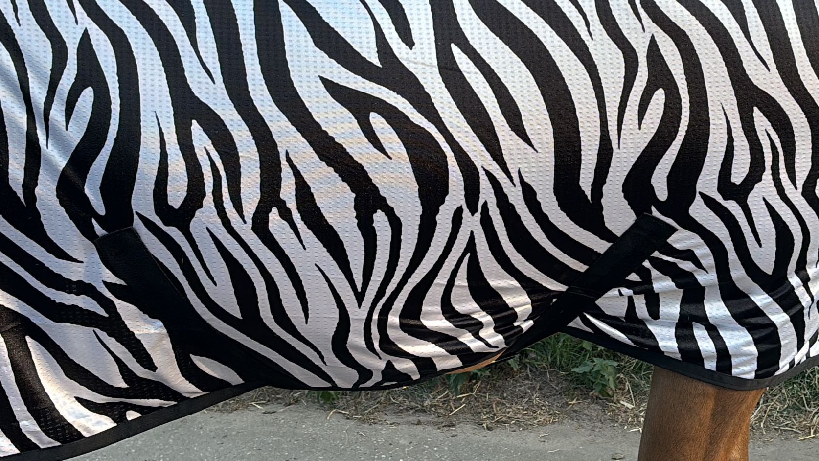 mooie zebra vliegen deken, Meerkleurig, UV-werend, Vliegendeken, Overige materialen