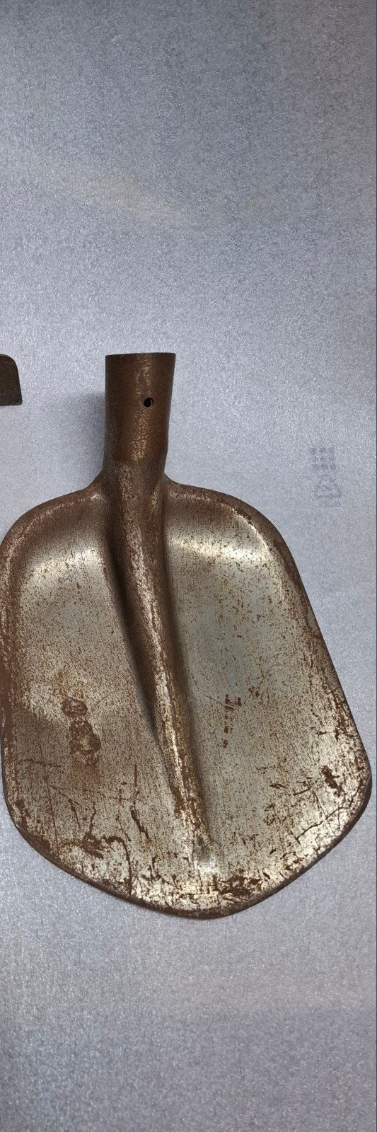 Schep / Bats zonder steel, Ophalen of Verzenden, Nieuw, Overige typen, Overige merken