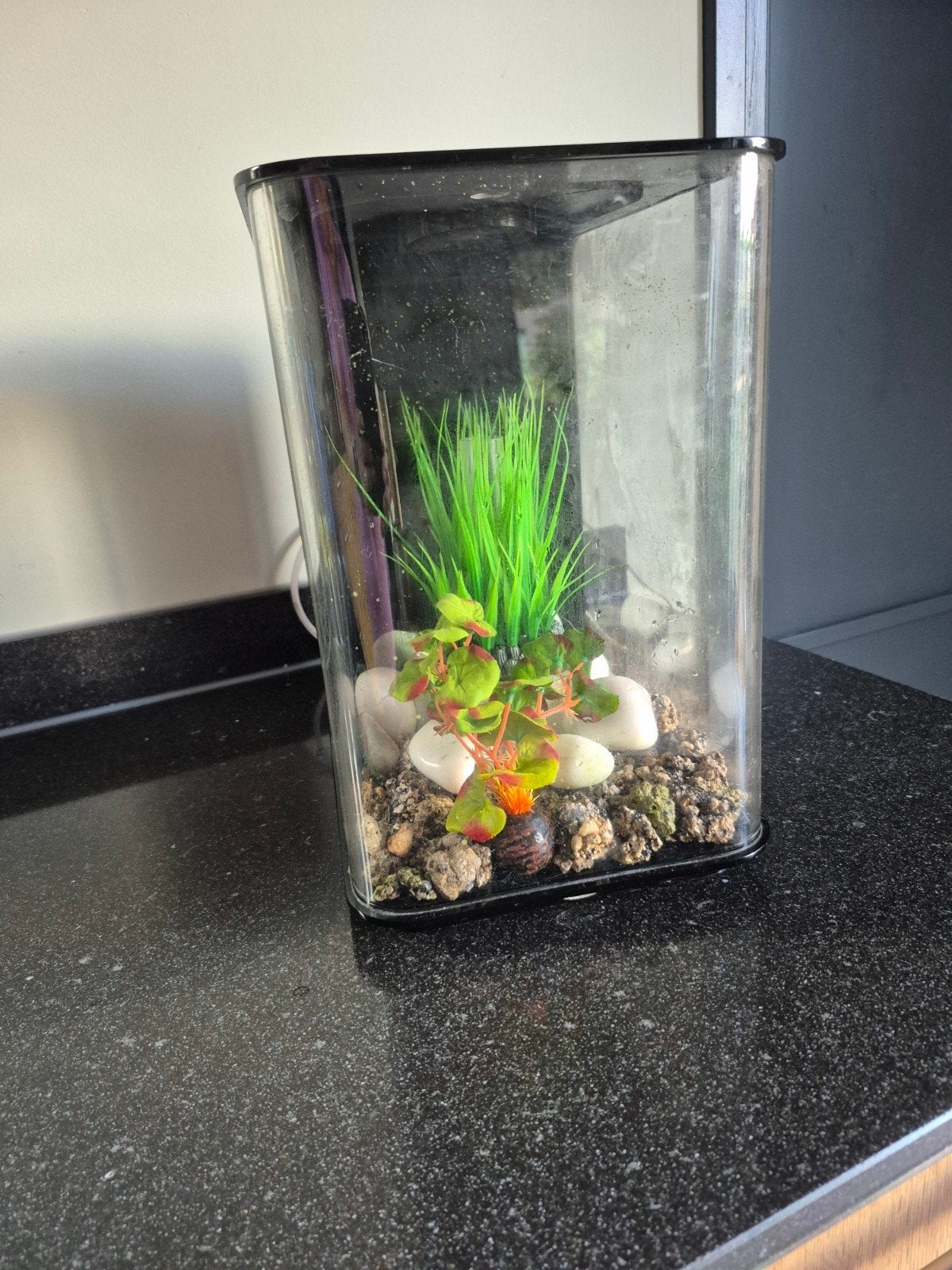 Aquarium (zwart) Biorb Flo 15 (Led wit), Ophalen, Gebruikt, Leeg aquarium, Overige merken