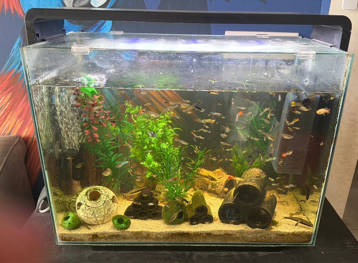 Aquarium, Dieren en Toebehoren, Vissen | Aquaria en Toebehoren, Ophalen, Zo goed als nieuw, Leeg aquarium