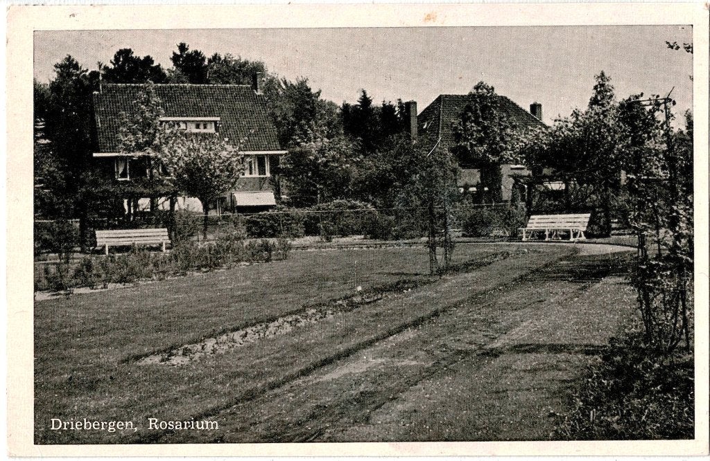 Driebergen (U), Rosarium, gelopen kaart, richtprijs € 3,==, Verzenden, Voor 1920, Noord-Brabant