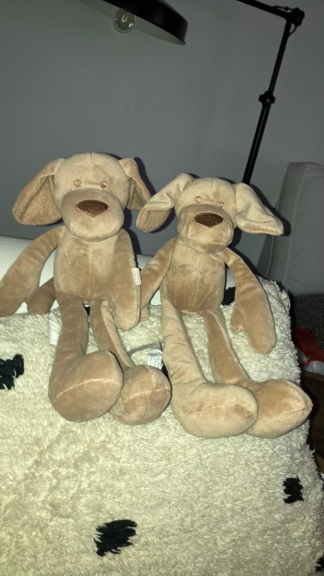 Zeeman hond, Kinderen en Baby's, Speelgoed | Knuffels en Pluche, Zo goed als nieuw, Middelgroot (20 tot 80 cm), Bruin, Hond