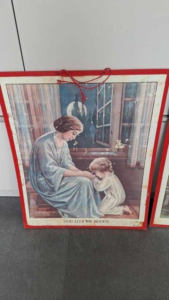 Twee vintage schoolplaten, Ophalen of Verzenden, Natuur en Biologie