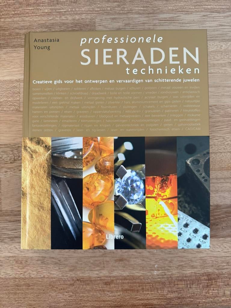 Professionele sieraden technieken - Anastasia Young, Boeken, Ophalen of Verzenden, Zo goed als nieuw, Architecten
