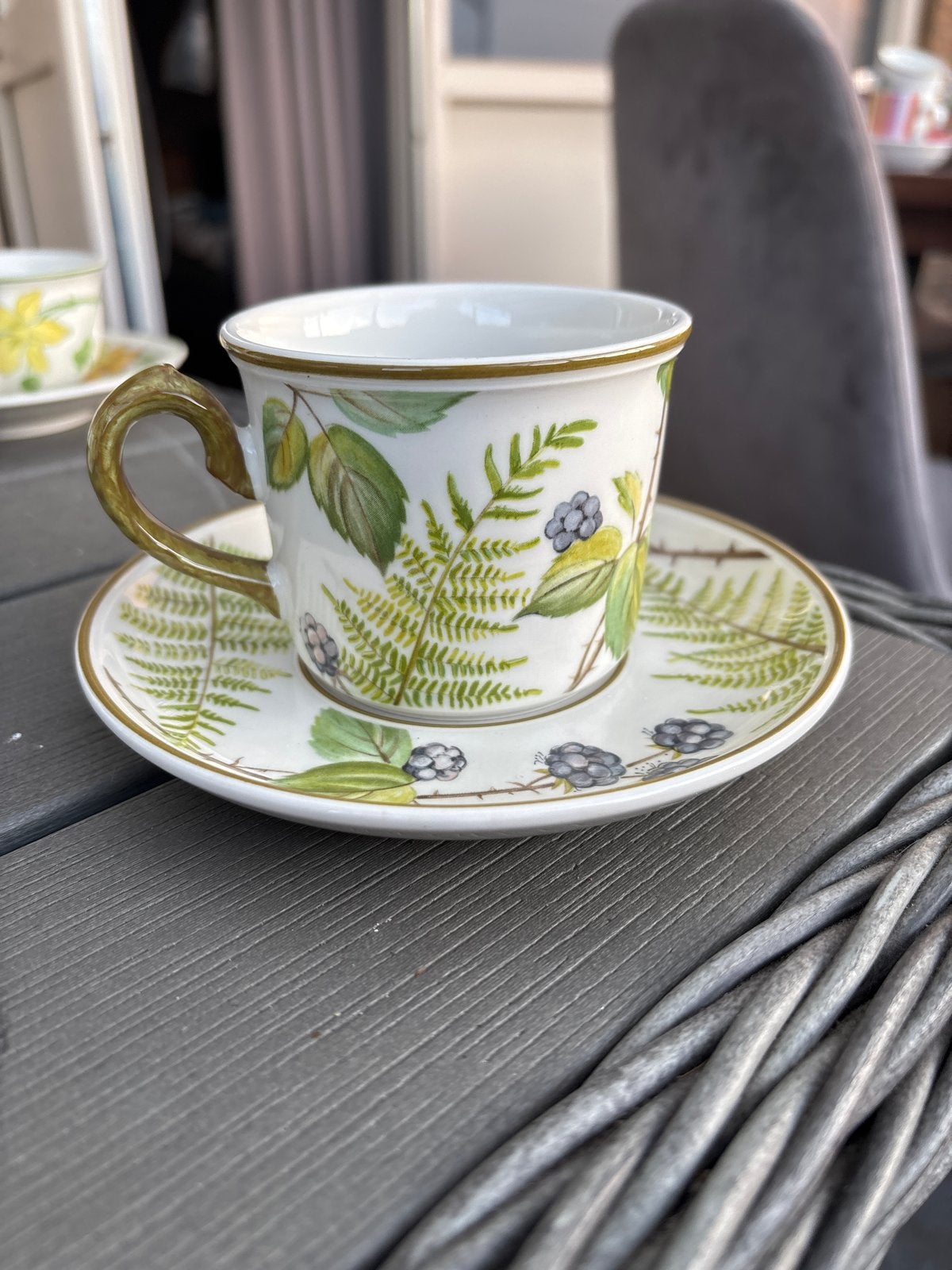Villeroy & Boch Forsa theekop en schotel - Bramen, Ophalen of Verzenden