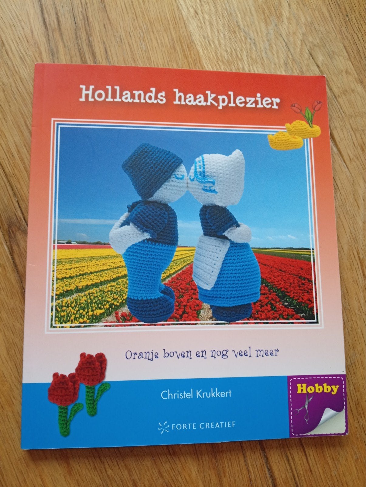 Christel Krukkert - Hollands haakplezier, Ophalen of Verzenden, Zo goed als nieuw, Christel Krukkert, Overige onderwerpen