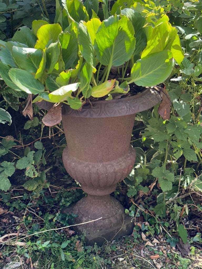 Grote sierlijke ijzeren bloempot - gietijzer - staal, Ophalen, Gebruikt, Rond, Metaal