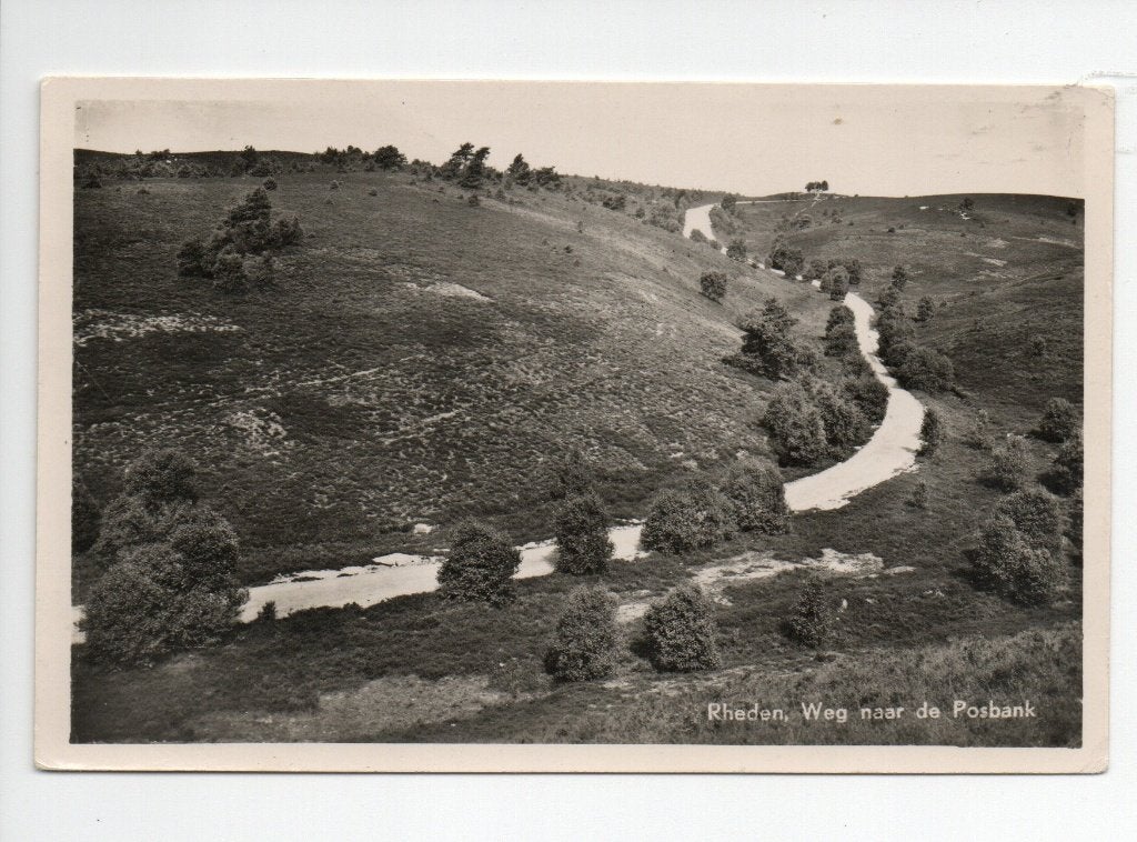 Oude ansichtkaart Rheden, Weg naar de Posbank. 1955, Verzenden, 1940 tot 1960, Gelopen, Gelderland