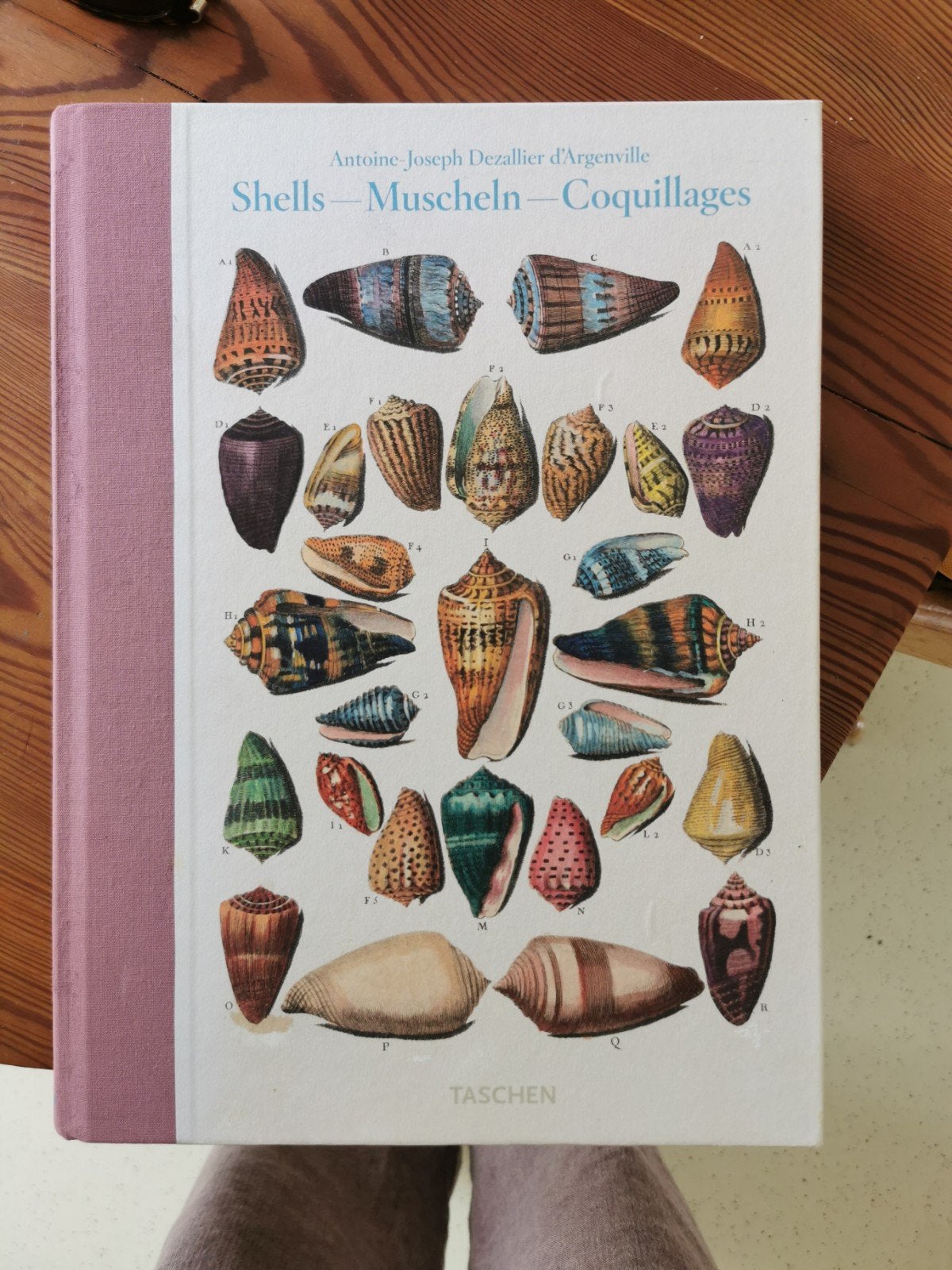 Schelpen - Muscheln - Coquillages boek van Taschen, Boeken, Gelezen, Ophalen of Verzenden, Antoine Joseph Dezallier d'Argenville