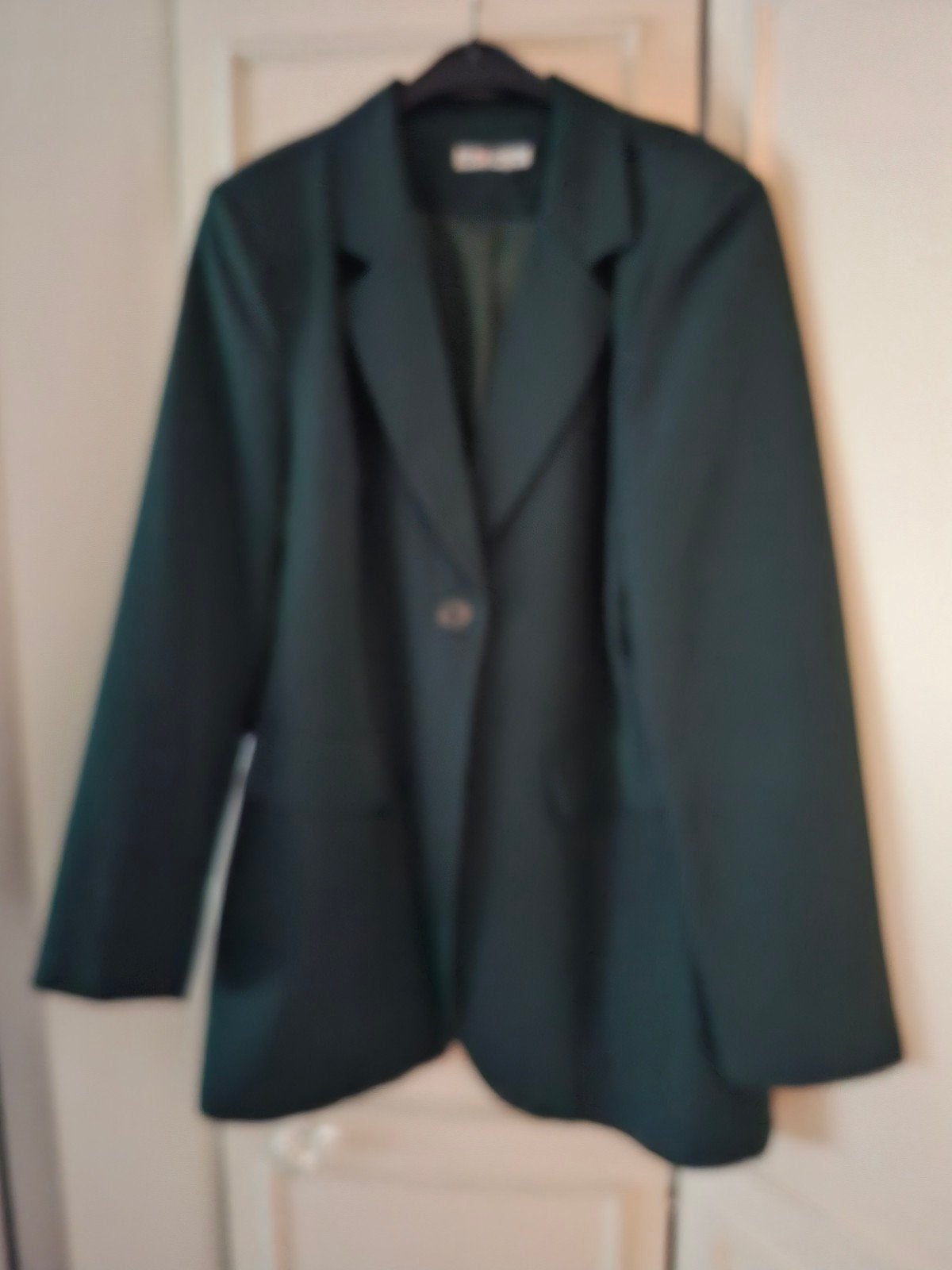blazer, Ophalen of Verzenden, Nieuw, Maat 46/48 (XL) of groter, Groen