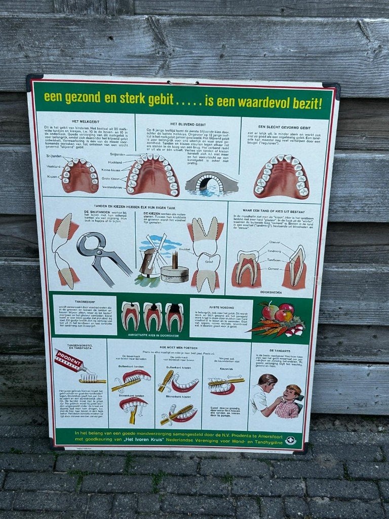 Een goed gebit (schoolplaat tandarts), Ophalen of Verzenden, Natuur en Biologie