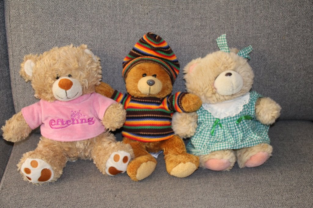 2 Leuke beren knuffels oa Efteling en TroelieWoelie, Overige merken, Beer, Zo goed als nieuw, Meerkleurig