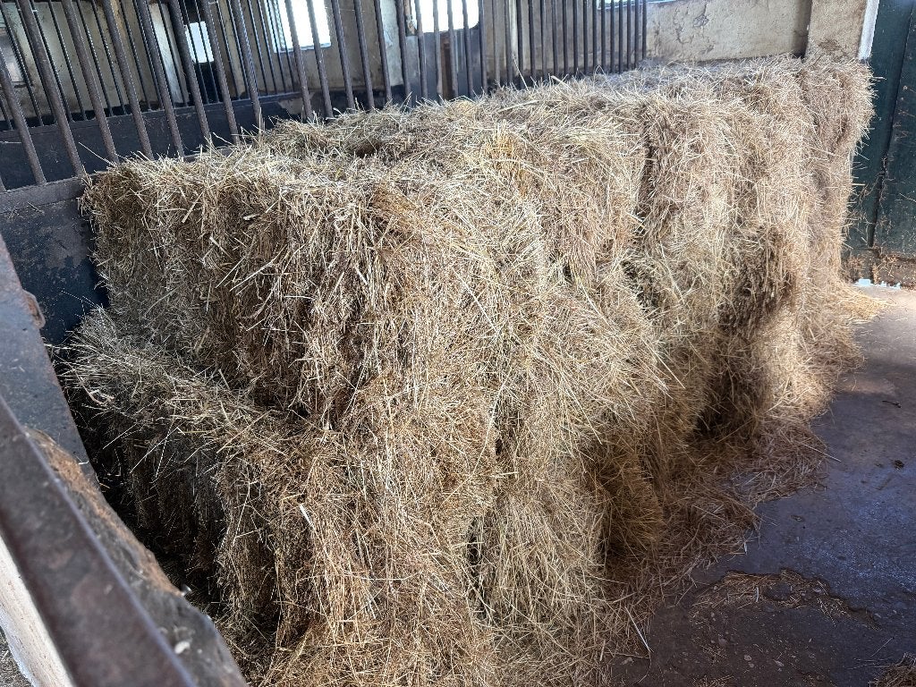 Hooibalen met laag suikergehalte, Ophalen of Verzenden, Overige soorten