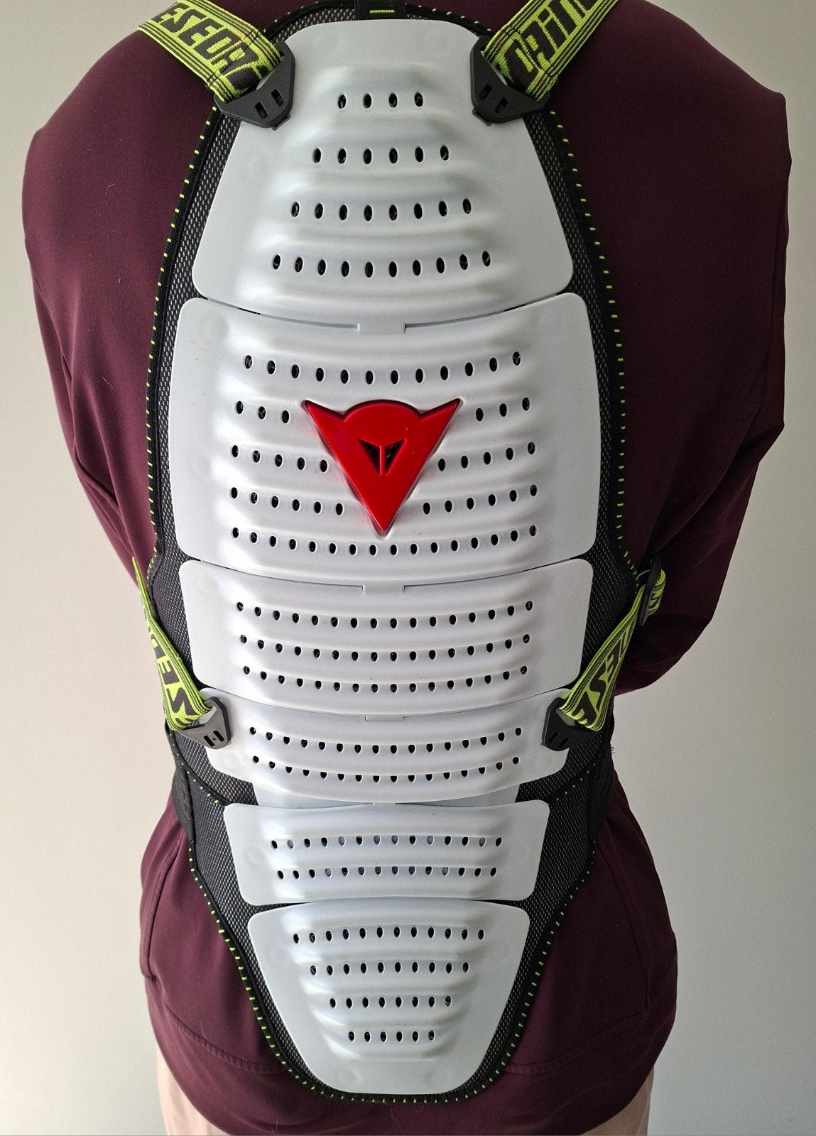 Dainese rugprotector Maat L, Kleding | Heren, Wintersportkleding, Ophalen of Verzenden, Overige typen