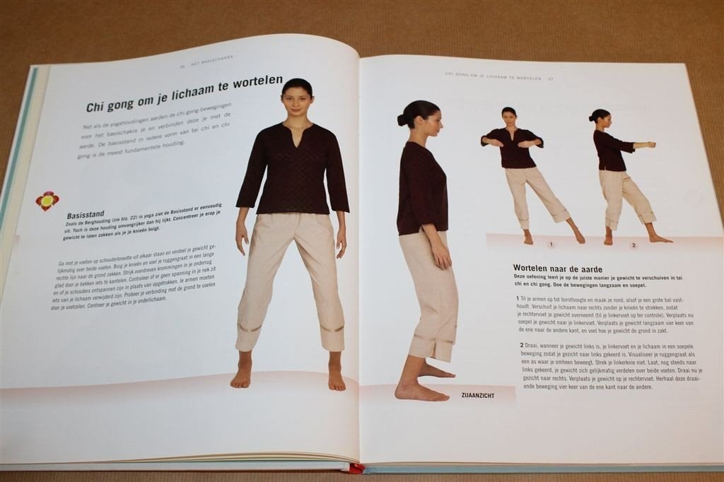 Chakra Energie — 7 Stappen Naar Meer Energie, Boeken, Ophalen of Verzenden, Gelezen, Overige onderwerpen, Achtergrond en Informatie