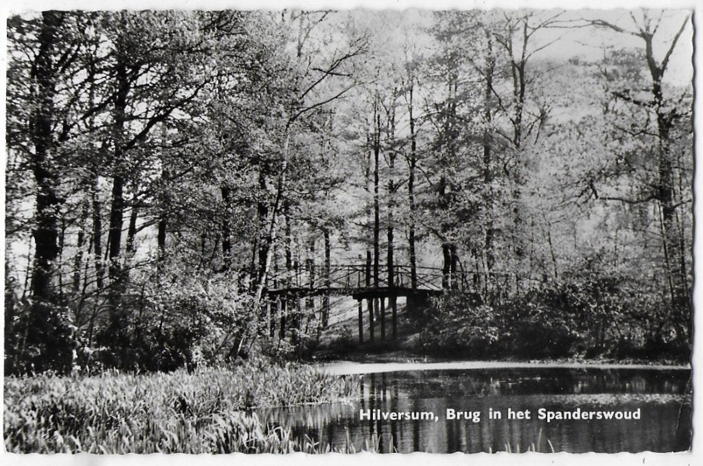 Hilversum Spanderswoud Oude Ongelopen Ansichtkaart (A2559 ), Ophalen of Verzenden, 1960 tot 1980, Ongelopen, Noord-Holland