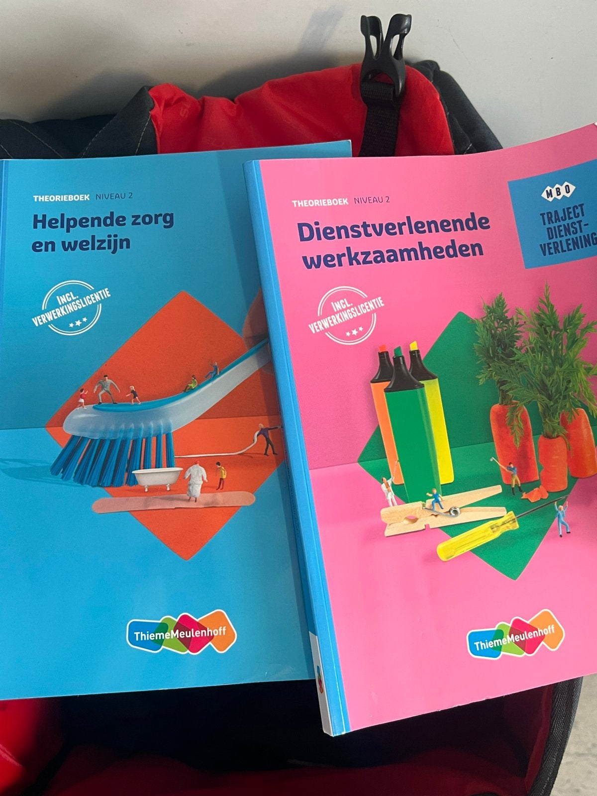 ThiemeMeulenhoff Theorieboeken MBO Niveau 2 (2 stuks), Ophalen of Verzenden, Nieuw, MBO