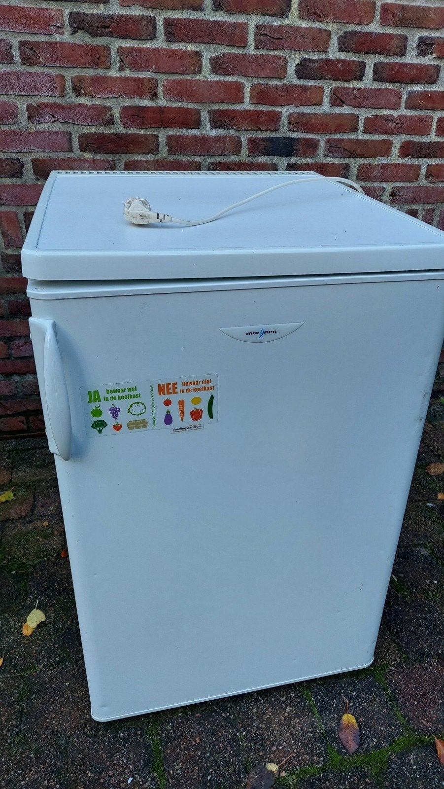 Marijnen koelkast - Tafelmodel, Ophalen, Minder dan 85 cm, Minder dan 75 liter, 45 tot 60 cm