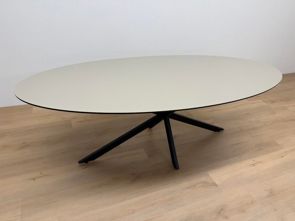 Ovale eettafel HPL Beige 220x100 - Direct Leverbaar, 100 tot 150 cm, 200 cm of meer, Ophalen of Verzenden, Zo goed als nieuw