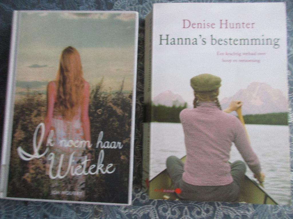 Joh Wolfert - Wieteke  / Denise Hunter - Hanna's bestemming, Boeken, Ophalen of Verzenden, Zo goed als nieuw