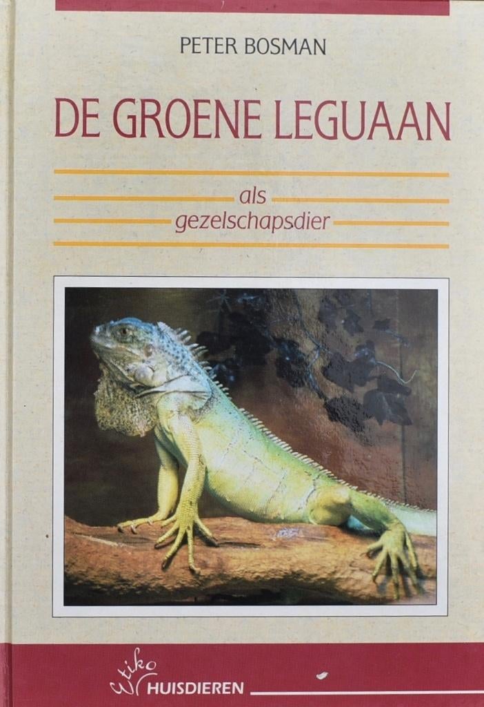 Bosman: De Groene leguaan als gezelschapsdier, Ophalen of Verzenden, Zo goed als nieuw, Reptielen of Amfibieën