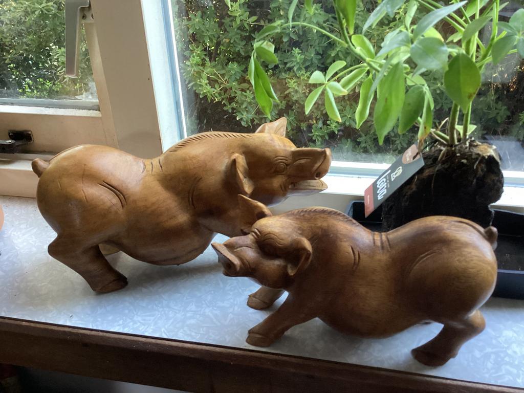 Vintage Aziatische houden varkens, zeug met big, Ophalen of Verzenden