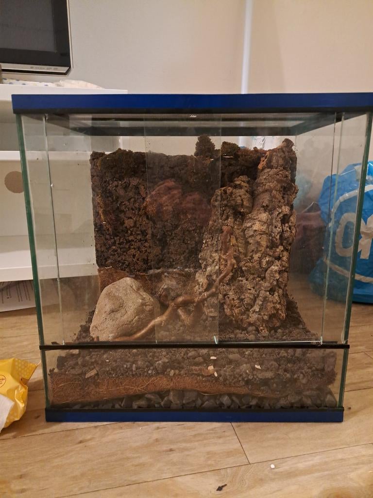 Terrarium voor kleine dieren/instecten, Ophalen, Zo goed als nieuw, Terrarium of Paludarium