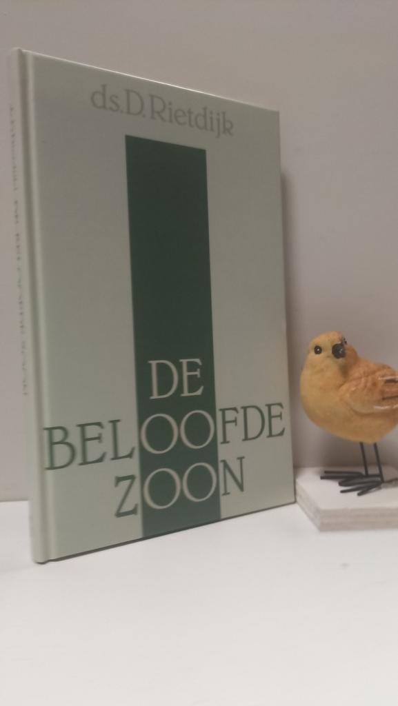 Rietdijk, Ds. D.; De beloofde zoon, Ophalen of Verzenden, Gelezen, Christendom | Protestants