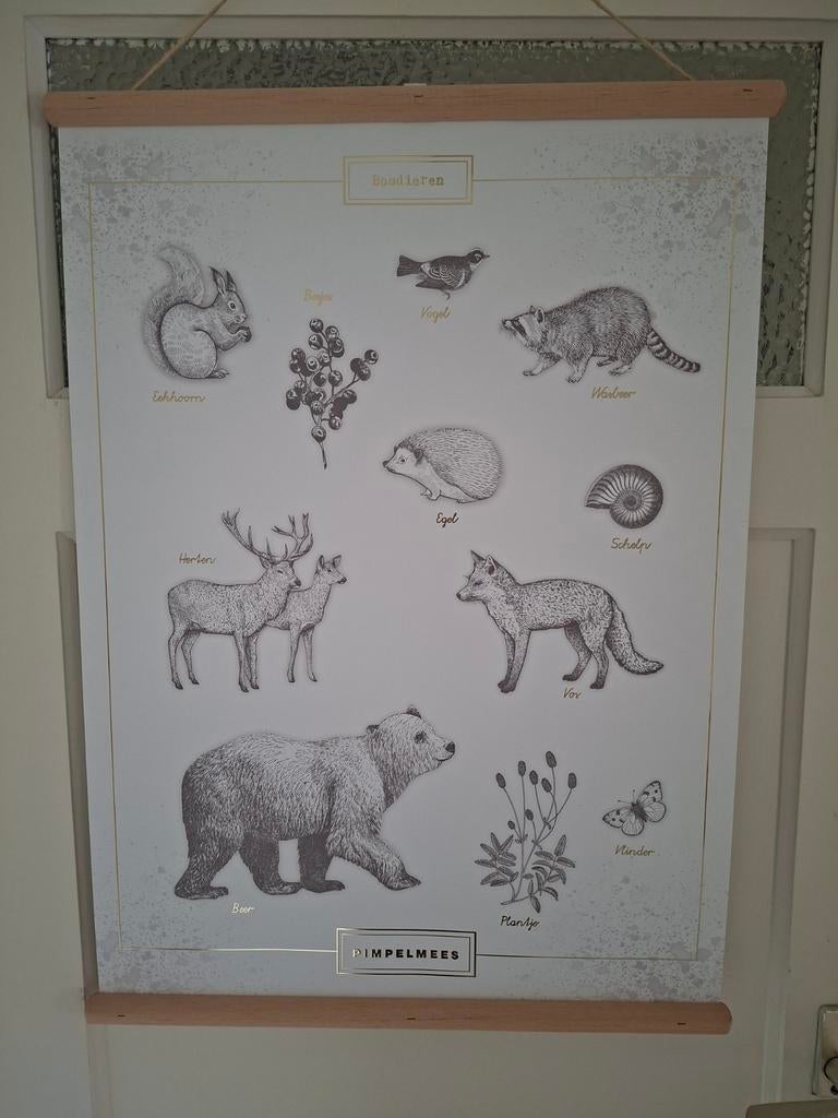 Muurposter bosdieren Pimpelmees kinderkamer, Ophalen of Verzenden, Zo goed als nieuw