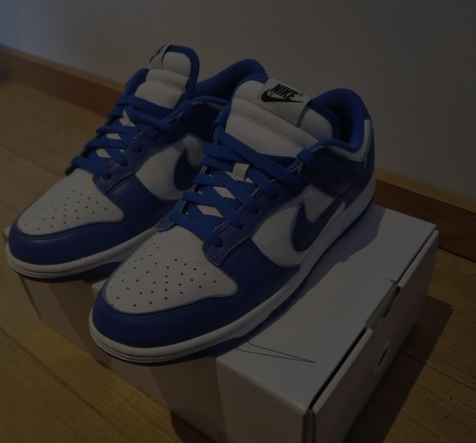 Nike dunk low, Kleding | Heren, Schoenen, Ophalen of Verzenden, Nieuw, Blauw